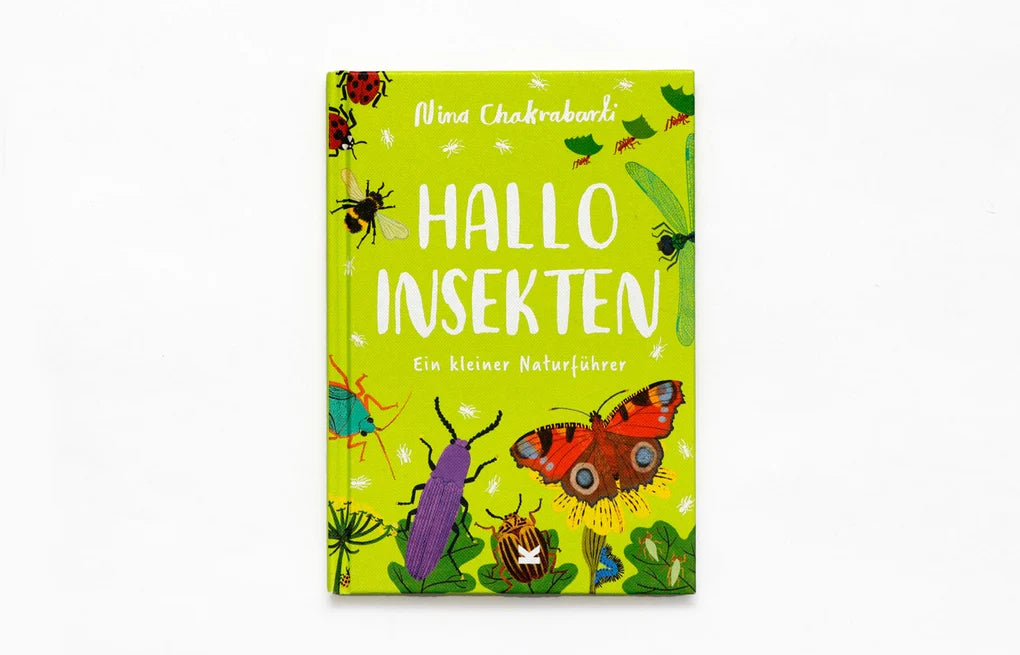 Hallo Insekten Kinderbuch